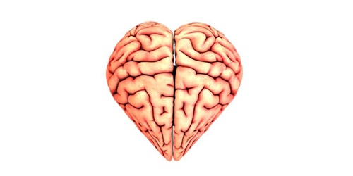 heart-and-brain 78ebc